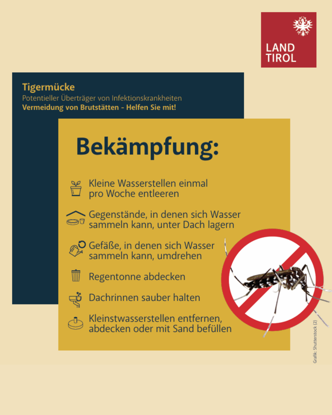 Information Tigermücken