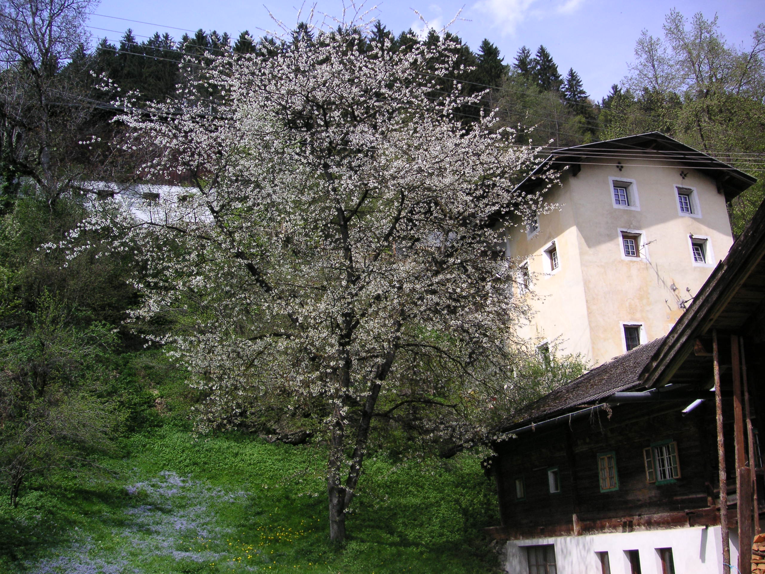 Mesner und Turm1